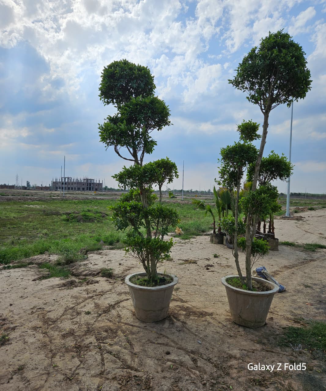 Canal Palms Phase 4 — project photograph 5