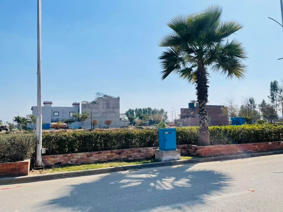 Saremco Garden — project photograph 1